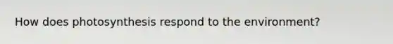 How does photosynthesis respond to the environment?