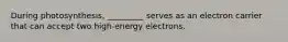 During photosynthesis, _________ serves as an electron carrier that can accept two high-energy electrons.