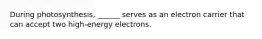 During photosynthesis, ______ serves as an electron carrier that can accept two high-energy electrons.