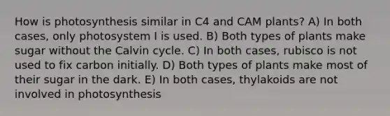 How is photosynthesis similar in C4 and CAM plants? A) In both cases, only photosystem I is used. B) Both types of plants make sugar without the Calvin cycle. C) In both cases, rubisco is not used to fix carbon initially. D) Both types of plants make most of their sugar in the dark. E) In both cases, thylakoids are not involved in photosynthesis