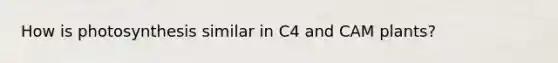 How is photosynthesis similar in C4 and CAM plants?