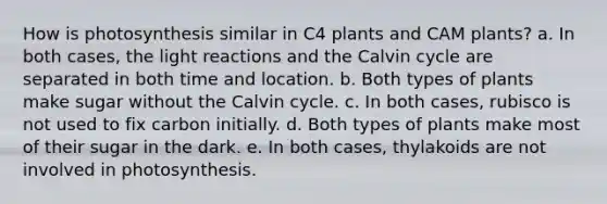 How is photosynthesis similar in C4 plants and CAM plants? a. In both cases, the <a href='https://www.questionai.com/knowledge/kSUoWrrvoC-light-reactions' class='anchor-knowledge'>light reactions</a> and the Calvin cycle are separated in both time and location. b. Both types of plants make sugar without the Calvin cycle. c. In both cases, rubisco is not used to fix carbon initially. d. Both types of plants make most of their sugar in the dark. e. In both cases, thylakoids are not involved in photosynthesis.