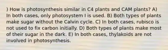 ) How is photosynthesis similar in C4 plants and CAM plants? A) In both cases, only photosystem I is used. B) Both types of plants make sugar without the Calvin cycle. C) In both cases, rubisco is not used to fix carbon initially. D) Both types of plants make most of their sugar in the dark. E) In both cases, thylakoids are not involved in photosynthesis.