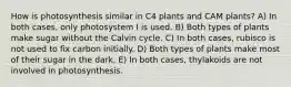 How is photosynthesis similar in C4 plants and CAM plants? A) In both cases, only photosystem I is used. B) Both types of plants make sugar without the Calvin cycle. C) In both cases, rubisco is not used to fix carbon initially. D) Both types of plants make most of their sugar in the dark. E) In both cases, thylakoids are not involved in photosynthesis.