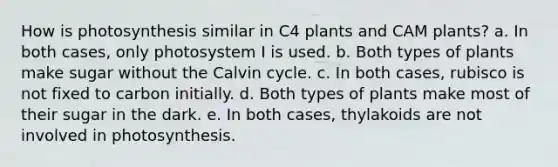 How is photosynthesis similar in C4 plants and CAM plants? a. In both cases, only photosystem I is used. b. Both types of plants make sugar without the Calvin cycle. c. In both cases, rubisco is not fixed to carbon initially. d. Both types of plants make most of their sugar in the dark. e. In both cases, thylakoids are not involved in photosynthesis.