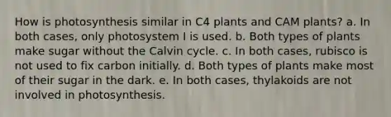 How is photosynthesis similar in C4 plants and CAM plants? a. In both cases, only photosystem I is used. b. Both types of plants make sugar without the Calvin cycle. c. In both cases, rubisco is not used to fix carbon initially. d. Both types of plants make most of their sugar in the dark. e. In both cases, thylakoids are not involved in photosynthesis.