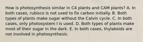 How is photosynthesis similar in C4 plants and CAM plants? A. In both cases, rubisco is not used to fix carbon initially. B. Both types of plants make sugar without the Calvin cycle. C. In both cases, only photosystem I is used. D. Both types of plants make most of their sugar in the dark. E. In both cases, thylakoids are not involved in photosynthesis.