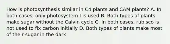 How is photosynthesis similar in C4 plants and CAM plants? A. In both cases, only photosystem I is used B. Both types of plants make sugar without the Calvin cycle C. In both cases, rubisco is not used to fix carbon initially D. Both types of plants make most of their sugar in the dark