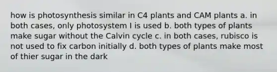 how is photosynthesis similar in C4 plants and CAM plants a. in both cases, only photosystem I is used b. both types of plants make sugar without the Calvin cycle c. in both cases, rubisco is not used to fix carbon initially d. both types of plants make most of thier sugar in the dark