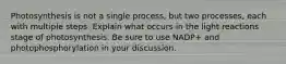 Photosynthesis is not a single process, but two processes, each with multiple steps. Explain what occurs in the light reactions stage of photosynthesis. Be sure to use NADP+ and photophosphorylation in your discussion.