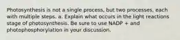 Photosynthesis is not a single process, but two processes, each with multiple steps. a. Explain what occurs in the light reactions stage of photosynthesis. Be sure to use NADP + and photophosphorylation in your discussion.