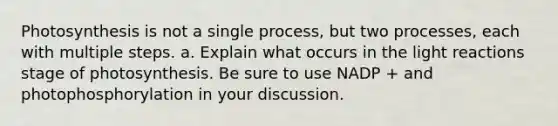 Photosynthesis is not a single process, but two processes, each with multiple steps. a. Explain what occurs in the light reactions stage of photosynthesis. Be sure to use NADP + and photophosphorylation in your discussion.