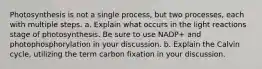 Photosynthesis is not a single process, but two processes, each with multiple steps. a. Explain what occurs in the light reactions stage of photosynthesis. Be sure to use NADP+ and photophosphorylation in your discussion. b. Explain the Calvin cycle, utilizing the term carbon fixation in your discussion.