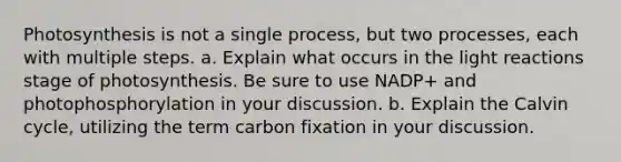 Photosynthesis is not a single process, but two processes, each with multiple steps. a. Explain what occurs in the light reactions stage of photosynthesis. Be sure to use NADP+ and photophosphorylation in your discussion. b. Explain the Calvin cycle, utilizing the term carbon fixation in your discussion.