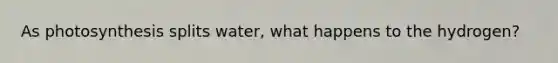 As photosynthesis splits water, what happens to the hydrogen?