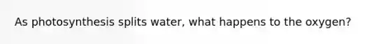 As photosynthesis splits water, what happens to the oxygen?
