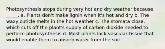 Photosynthesis stops during very hot and dry weather because _____. a. Plants don't make lignin when it's hot and dry b. The waxy cuticle melts in the hot weather c. The stomata close, which cuts off the plant's supply of carbon dioxide needed to perform photosynthesis d. Most plants lack <a href='https://www.questionai.com/knowledge/k1HVFq17mo-vascular-tissue' class='anchor-knowledge'>vascular tissue</a> that would enable them to absorb water from the soil