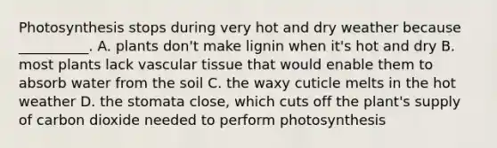 Photosynthesis stops during very hot and dry weather because __________. A. plants don't make lignin when it's hot and dry B. most plants lack vascular tissue that would enable them to absorb water from the soil C. the waxy cuticle melts in the hot weather D. the stomata close, which cuts off the plant's supply of carbon dioxide needed to perform photosynthesis