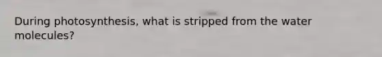 During photosynthesis, what is stripped from the water molecules?