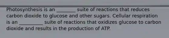 Photosynthesis is an ________ suite of reactions that reduces carbon dioxide to glucose and other sugars. Cellular respiration is an __________ suite of reactions that oxidizes glucose to carbon dioxide and results in the production of ATP.