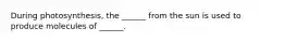 During photosynthesis, the ______ from the sun is used to produce molecules of ______.