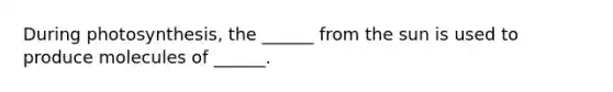 During photosynthesis, the ______ from the sun is used to produce molecules of ______.