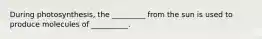 During photosynthesis, the _________ from the sun is used to produce molecules of __________.