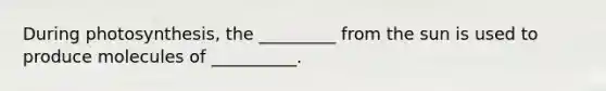 During photosynthesis, the _________ from the sun is used to produce molecules of __________.
