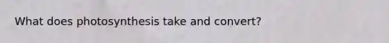 What does photosynthesis take and convert?