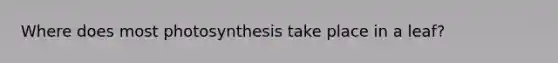 Where does most photosynthesis take place in a leaf?