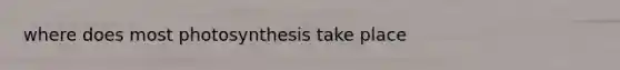 where does most photosynthesis take place