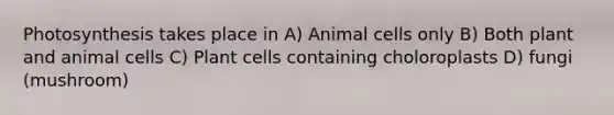 Photosynthesis takes place in A) Animal cells only B) Both plant and animal cells C) Plant cells containing choloroplasts D) fungi (mushroom)