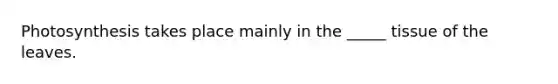 Photosynthesis takes place mainly in the _____ tissue of the leaves.