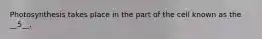 Photosynthesis takes place in the part of the cell known as the __5__.