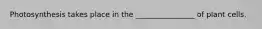 Photosynthesis takes place in the ________________ of plant cells.