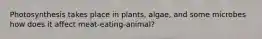 Photosynthesis takes place in plants, algae, and some microbes how does it affect meat-eating-animal?