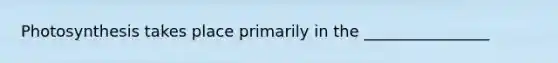 Photosynthesis takes place primarily in the ________________