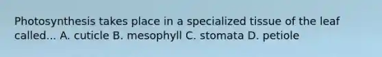 Photosynthesis takes place in a specialized tissue of the leaf called... A. cuticle B. mesophyll C. stomata D. petiole