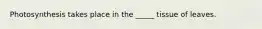 Photosynthesis takes place in the _____ tissue of leaves.