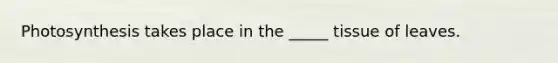 Photosynthesis takes place in the _____ tissue of leaves.