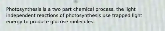 Photosynthesis is a two part chemical process. the light independent reactions of photosynthesis use trapped light energy to produce glucose molecules.