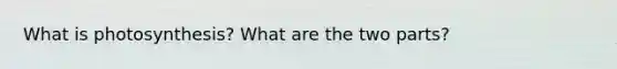 What is photosynthesis? What are the two parts?