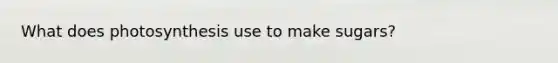 What does photosynthesis use to make sugars?
