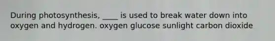 During photosynthesis, ____ is used to break water down into oxygen and hydrogen. oxygen glucose sunlight carbon dioxide