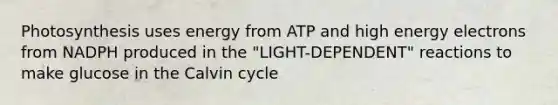 Photosynthesis uses energy from ATP and high energy electrons from NADPH produced in the "LIGHT-DEPENDENT" reactions to make glucose in the Calvin cycle