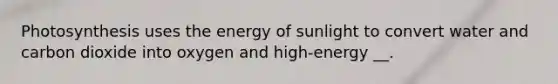 Photosynthesis uses the energy of sunlight to convert water and carbon dioxide into oxygen and high-energy __.