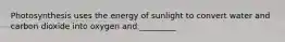 Photosynthesis uses the energy of sunlight to convert water and carbon dioxide into oxygen and _________