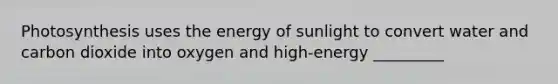 Photosynthesis uses the energy of sunlight to convert water and carbon dioxide into oxygen and high-energy _________