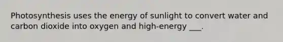 Photosynthesis uses the energy of sunlight to convert water and carbon dioxide into oxygen and high-energy ___.