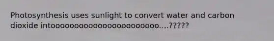 Photosynthesis uses sunlight to convert water and carbon dioxide intooooooooooooooooooooooo....?????